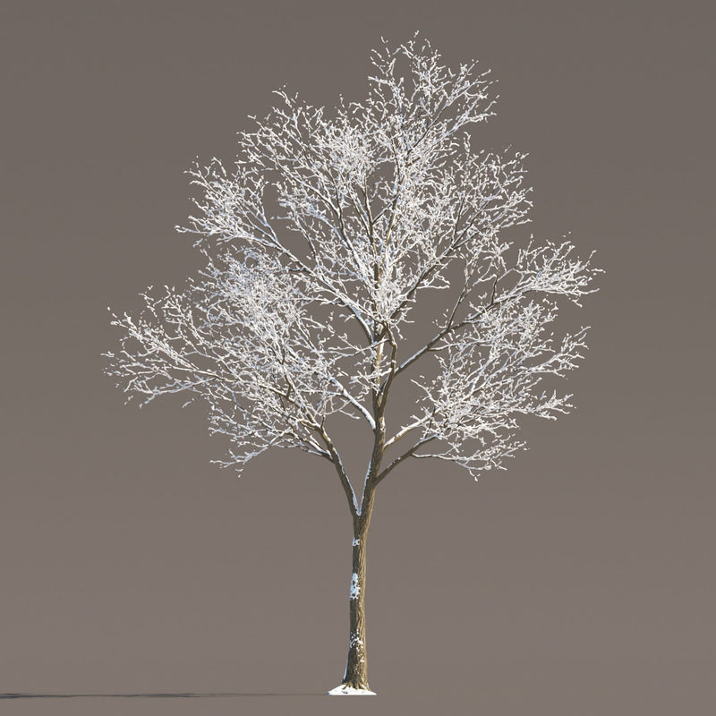 Archmodels vol. 258 (Evermotion 3D Models) - Architectural Visualizations