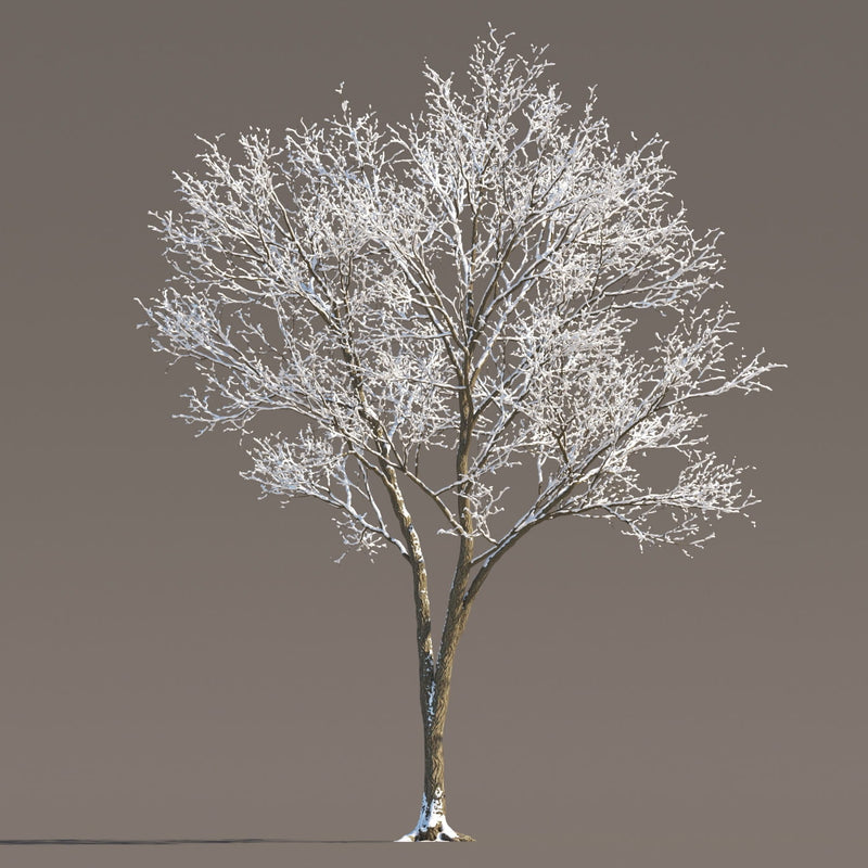Archmodels vol. 258 (Evermotion 3D Models) - Architectural Visualizations