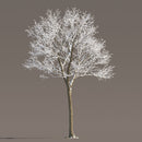 Archmodels vol. 258 (Evermotion 3D Models) - Architectural Visualizations