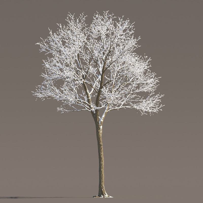 Archmodels vol. 258 (Evermotion 3D Models) - Architectural Visualizations
