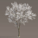 Archmodels vol. 258 (Evermotion 3D Models) - Architectural Visualizations