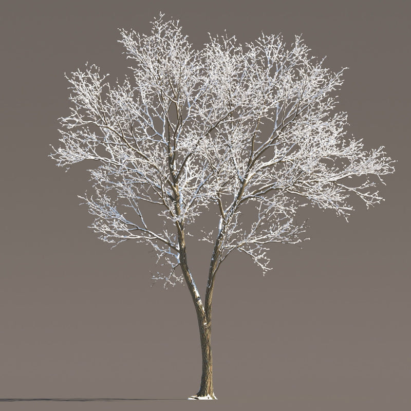 Archmodels vol. 258 (Evermotion 3D Models) - Architectural Visualizations