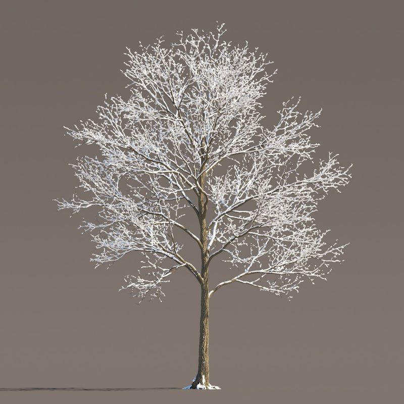 Archmodels vol. 258 (Evermotion 3D Models) - Architectural Visualizations
