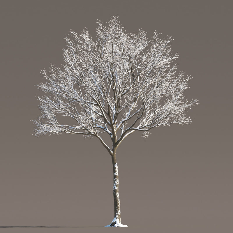 Archmodels vol. 258 (Evermotion 3D Models) - Architectural Visualizations