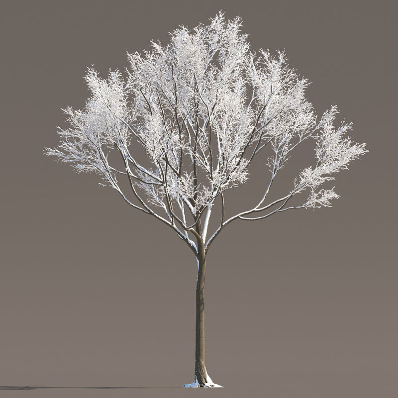 Archmodels vol. 258 (Evermotion 3D Models) - Architectural Visualizations
