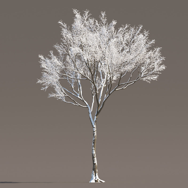 Archmodels vol. 258 (Evermotion 3D Models) - Architectural Visualizations