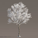 Archmodels vol. 258 (Evermotion 3D Models) - Architectural Visualizations