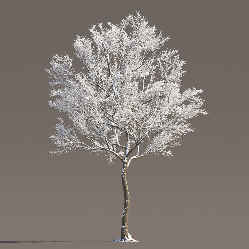Archmodels vol. 258 (Evermotion 3D Models) - Architectural Visualizations