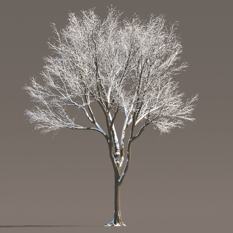 Archmodels vol. 258 (Evermotion 3D Models) - Architectural Visualizations
