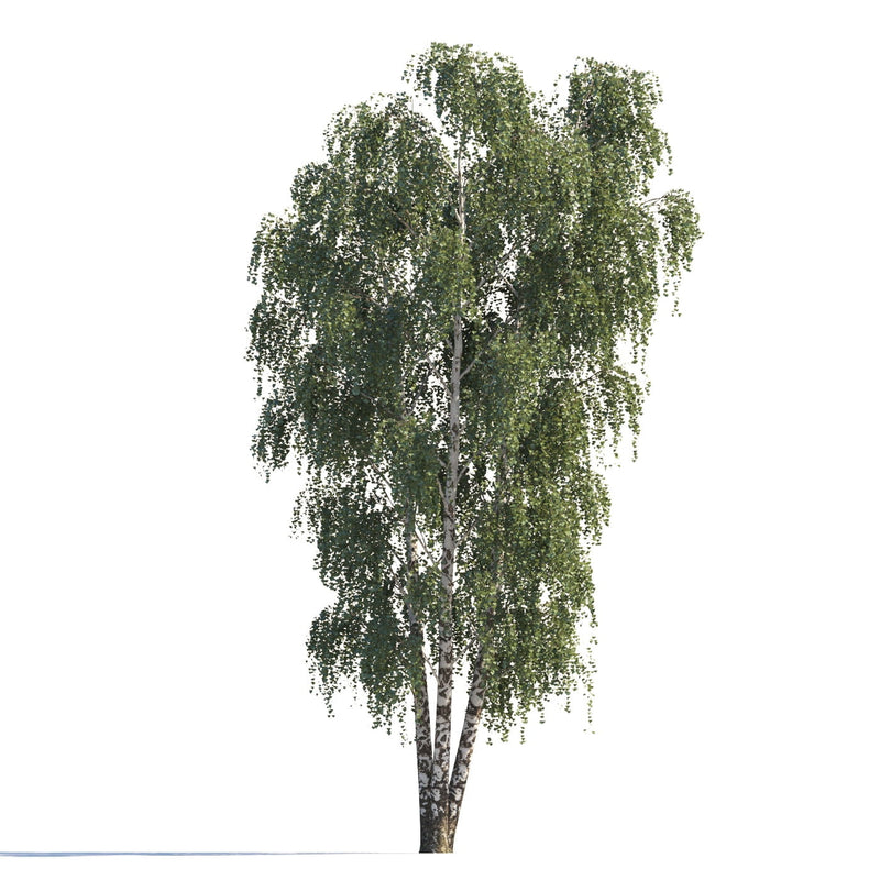 Archmodels vol. 258 (Evermotion 3D Models) - Architectural Visualizations