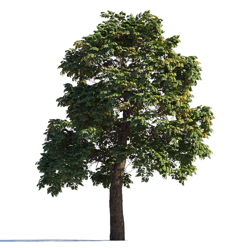 Archmodels vol. 258 (Evermotion 3D Models) - Architectural Visualizations