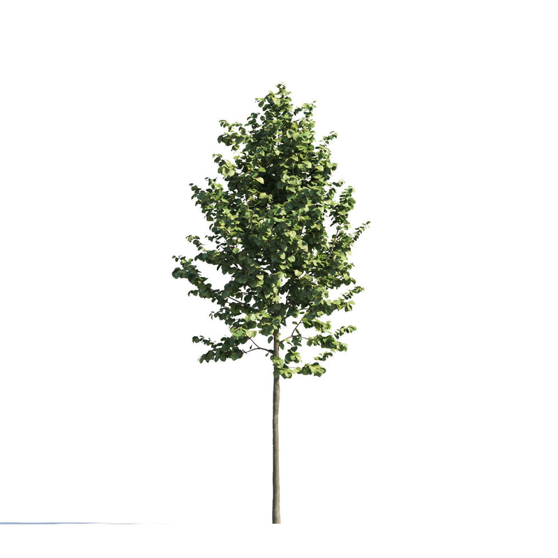 Archmodels vol. 258 (Evermotion 3D Models) - Architectural Visualizations