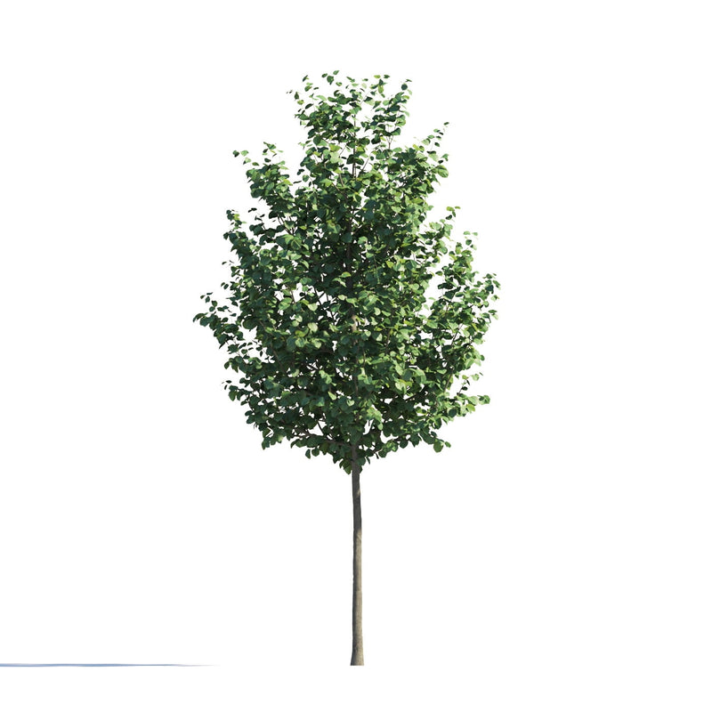 Archmodels vol. 258 (Evermotion 3D Models) - Architectural Visualizations