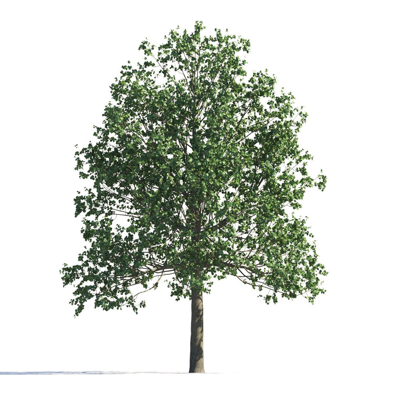 Archmodels vol. 258 (Evermotion 3D Models) - Architectural Visualizations