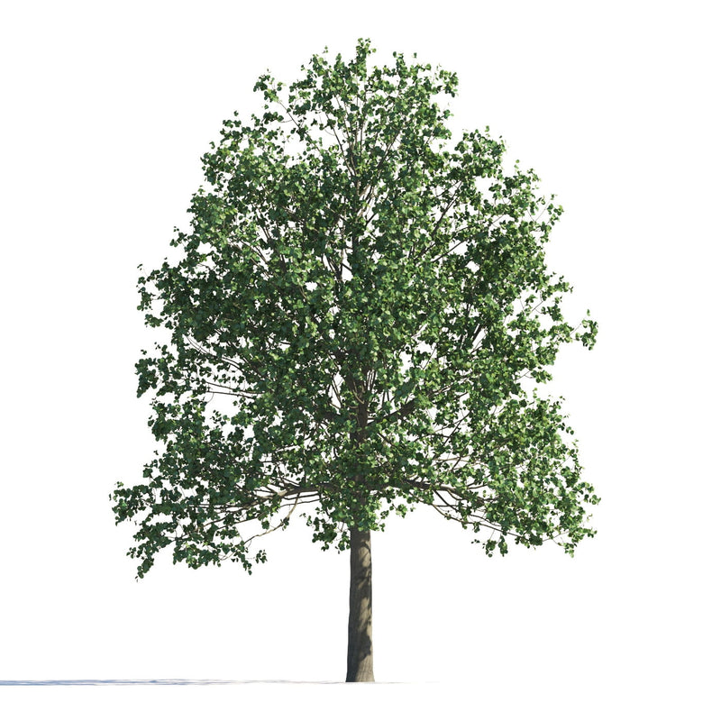 Archmodels vol. 258 (Evermotion 3D Models) - Architectural Visualizations