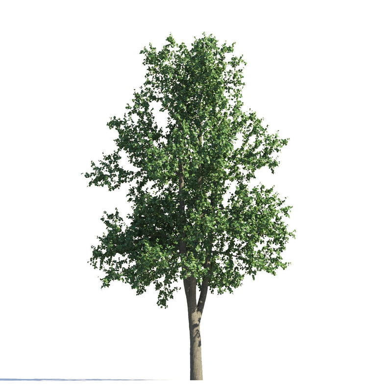 Archmodels vol. 258 (Evermotion 3D Models) - Architectural Visualizations