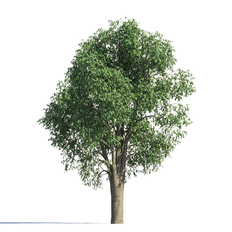 Archmodels vol. 258 (Evermotion 3D Models) - Architectural Visualizations