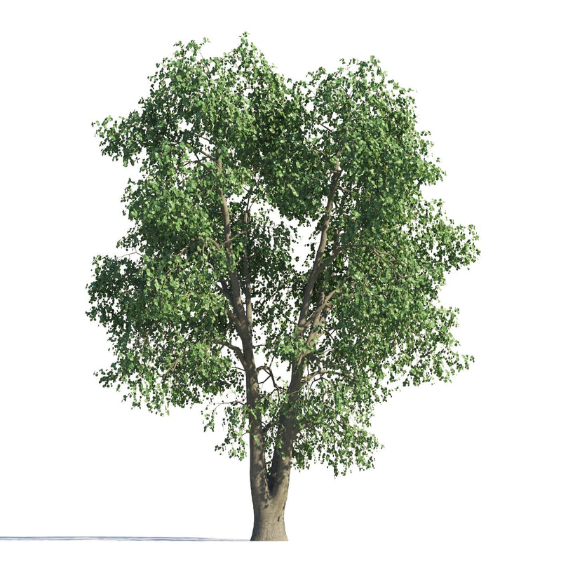 Archmodels vol. 258 (Evermotion 3D Models) - Architectural Visualizations