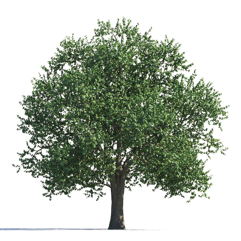 Archmodels vol. 258 (Evermotion 3D Models) - Architectural Visualizations