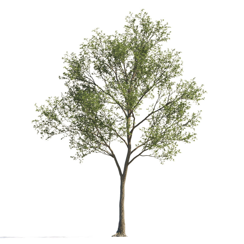 Archmodels vol. 258 (Evermotion 3D Models) - Architectural Visualizations