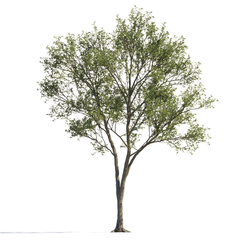 Archmodels vol. 258 (Evermotion 3D Models) - Architectural Visualizations