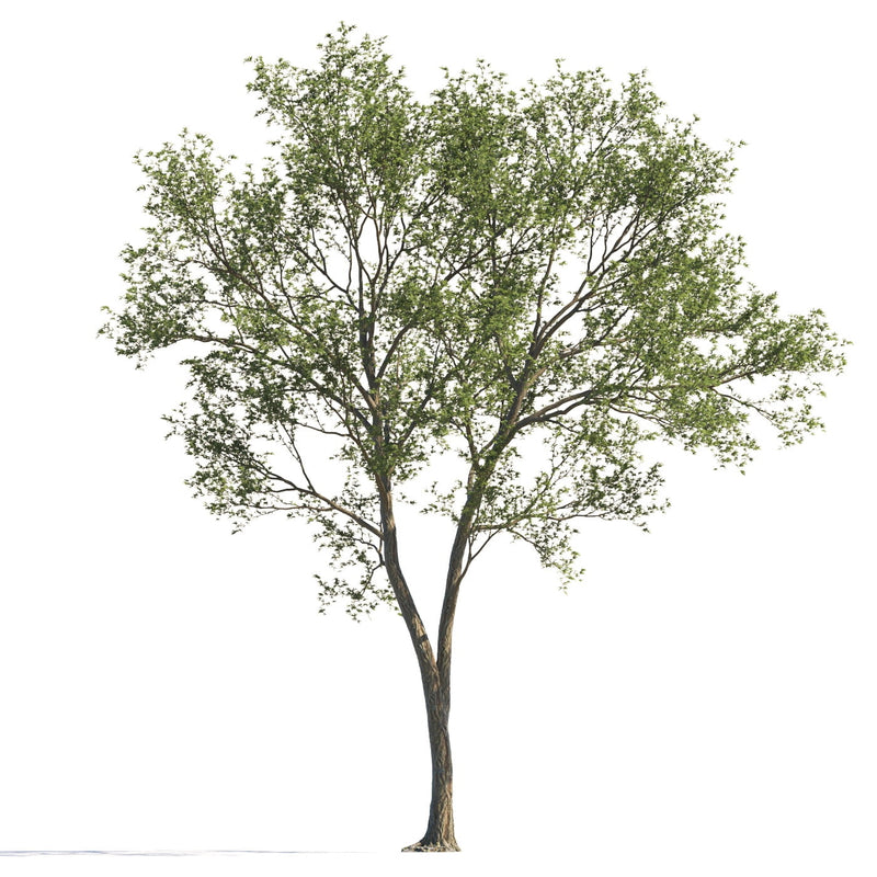 Archmodels vol. 258 (Evermotion 3D Models) - Architectural Visualizations