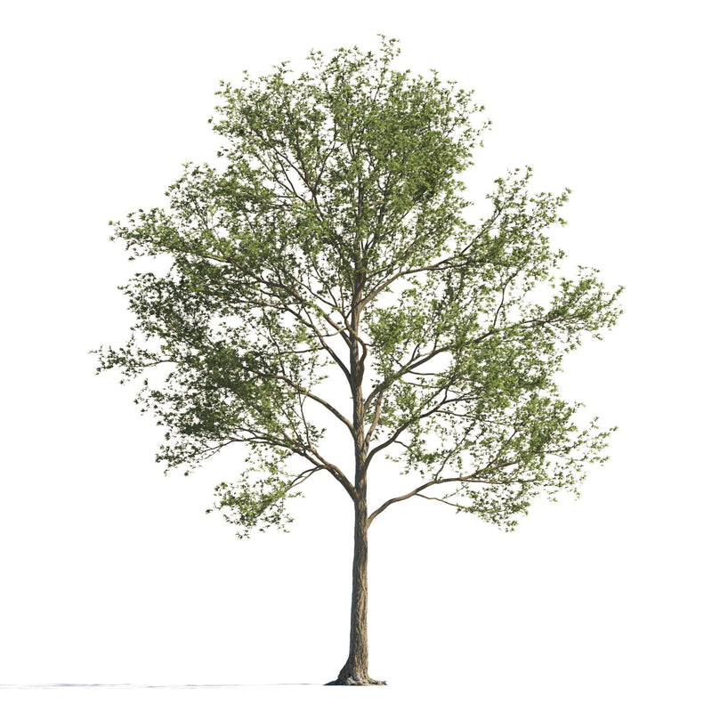 Archmodels vol. 258 (Evermotion 3D Models) - Architectural Visualizations