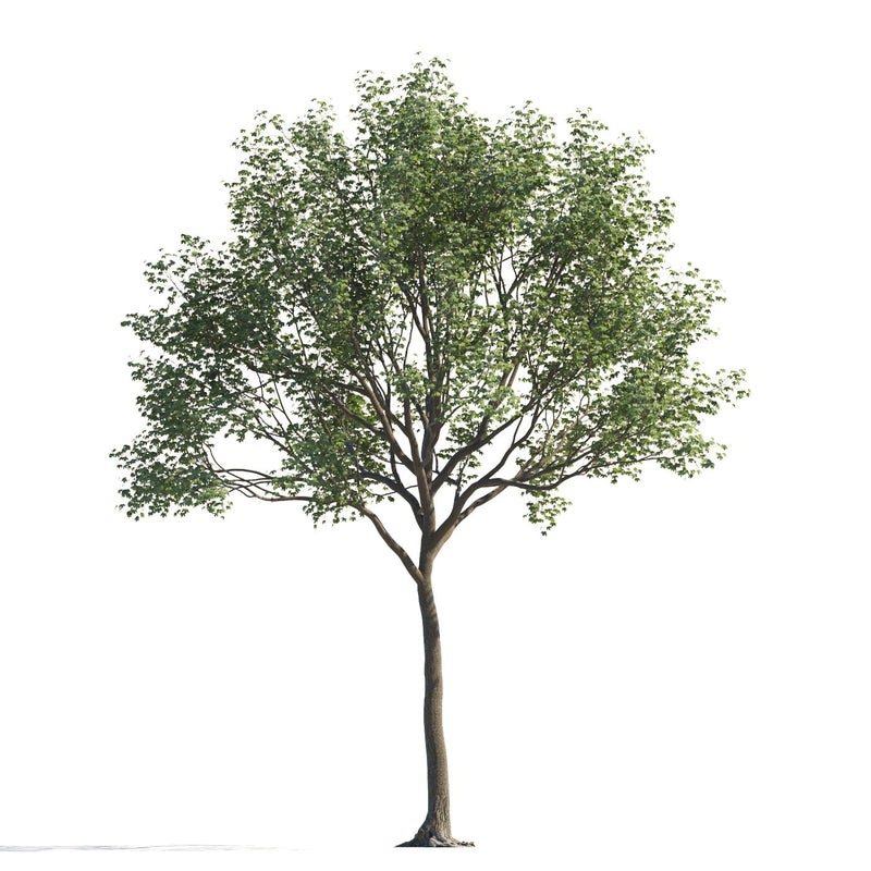 Archmodels vol. 258 (Evermotion 3D Models) - Architectural Visualizations