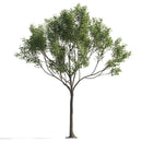 Archmodels vol. 258 (Evermotion 3D Models) - Architectural Visualizations