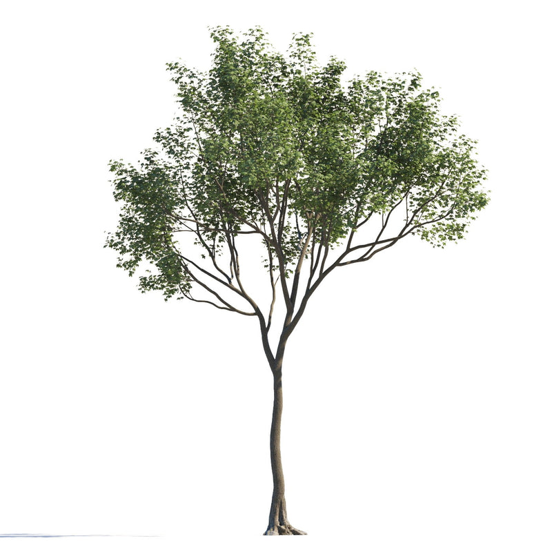 Archmodels vol. 258 (Evermotion 3D Models) - Architectural Visualizations