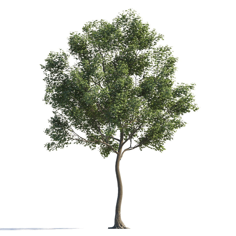 Archmodels vol. 258 (Evermotion 3D Models) - Architectural Visualizations