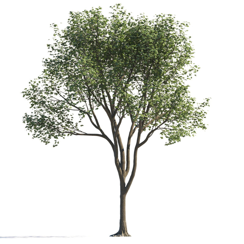 Archmodels vol. 258 (Evermotion 3D Models) - Architectural Visualizations