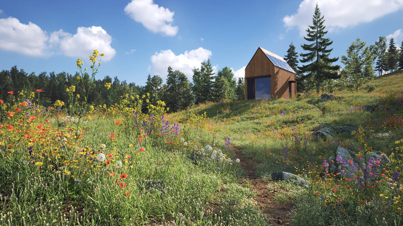 Evermotion Windows Archmodels vol. 252 (Evermotion 3D Models) - Architectural Visualizati ...