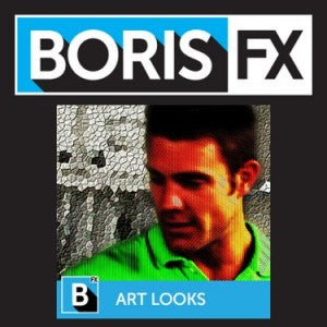 Boris Continuum Unit: Art Looks