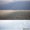 Creating V-Ray materials Vol 3